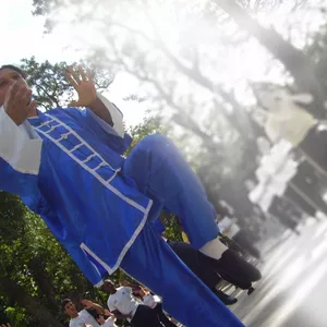 Imagem de capa para o Ebook  TAI CHI JIANKANG  - CATÁLOGO DE MOVIMENTOS