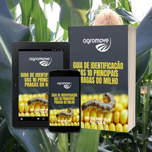 Imagem de capa para o Ebook Guia de identificação e controle das principais pragas do milho