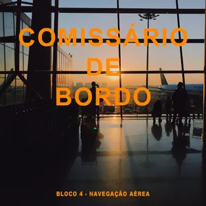 Imagem de capa para o Ebook NAVEGAÇÃO AÉREA PARA COMISSÁRIOS DE VOO