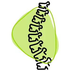 Imagem de capa para o Curso online SOS Coluna