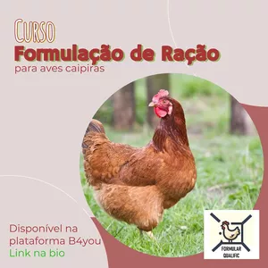 Curso Curso de Formulação de Ração para Aves Caipiras