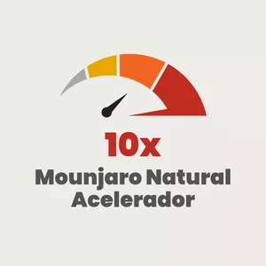 Imagen de portada para Ebook Acelerador 10x