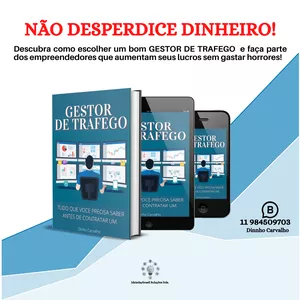 Imagem de capa para o Ebook O bom gestor
