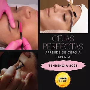 Imagen de portada para Ebook Cejas perfectas aprende de cero a experta 