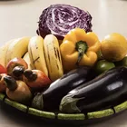 CT Nutrição