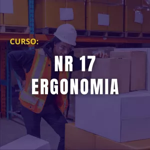 Imagem de capa para o Curso online NR 17 - ERGONOMIA 