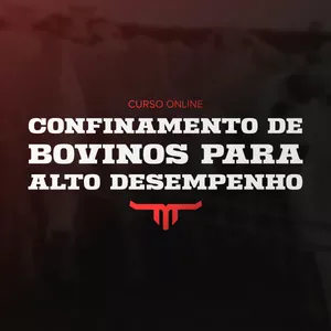 Curso Confinamento de Bovinos para Alto Desempenho