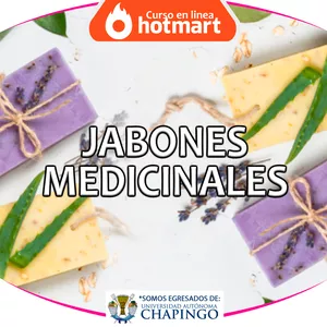 Imagen de portada para Curso online Jabones Medicinales