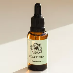 Imagem de capa para o Curso online Floral Concentra