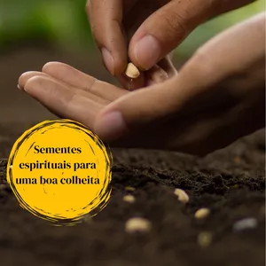 Imagem de capa para o Ebook Semeadura - Semente espirituais para uma boa colheita