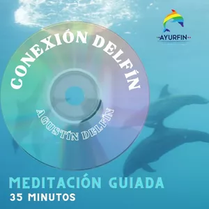 Imagen de portada para Curso online Meditación Multidimensional " Conexión Delfín "