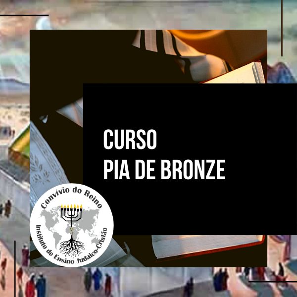 Imagem do curso CURSO 03 -  PIA DE BRONZE 