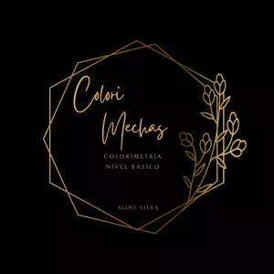 Imagem de capa para o Curso online ColoriMechas- Colorimetria nível básico 