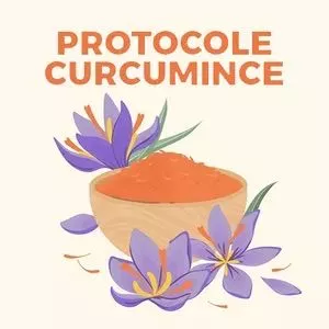 Imagen de portada para Curso online Protocole - CM