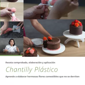 Imagen de portada para Curso online Curso de Chantilly Plástico