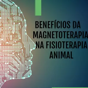 Imagem de capa para o Ebook Benefícios da magnetoterapia na fisioterapia animal.