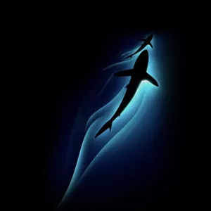 Imagen de portada para Curso online BOREAL