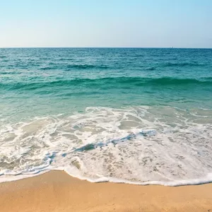 Imagem de capa para o Ebook Guia Essencial de Inglês para bares e restaurante beira mar 