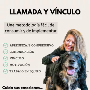 Imagen de portada para Curso online Llamada y Vínculo