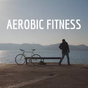 Cover image for Ebook Aerobic Fitness