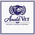 AnaLê Vet Academy – Anatomia e Patologia Descomplicadas