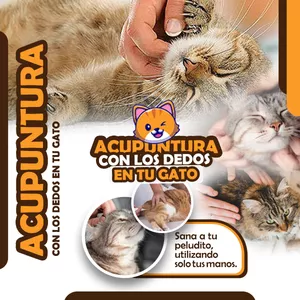 Imagen de portada para Curso online ACUPUNTURA CON LOS DEDOS EN TU GATO