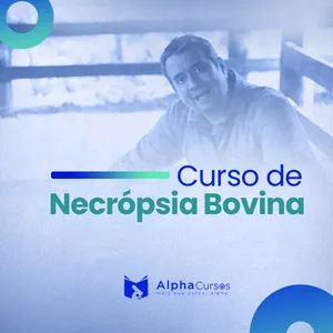Imagem de capa para o Curso online Necropsia de Bovinos
