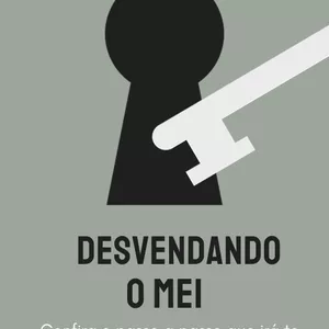 DESVENDANDO O MEI por Poliana Lira