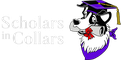 Scholars In Collars Dog Training