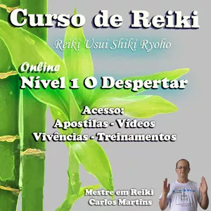 Imagem de Curso de Reiki Nível 1 criado por Carlos Martins na hotmart