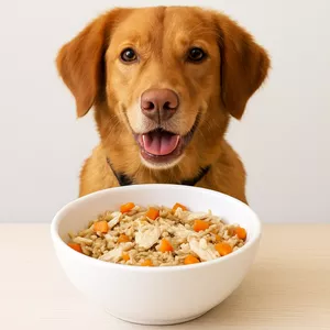 Imagen de portada para Ebook Cocina saludable para tu mascota: 15 recetas fáciles y nutritivas