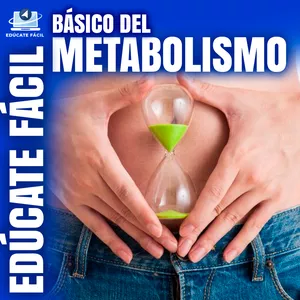 Imagen de portada para Curso online BÁSICOS DEL METABOLISMO