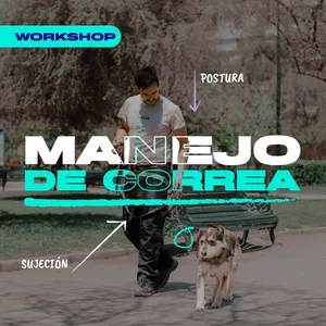Imagen de portada para Curso online Workshop "Manejo de Correa"
