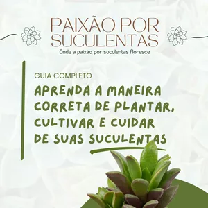 Imagem de capa para o Ebook Paixão Por Suculentas