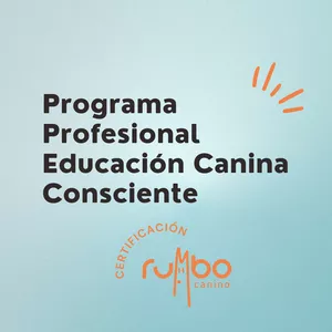 Imagen de portada para Curso online Programa Profesional en Educación Canina Consciente