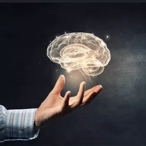Imagem de capa para o Curso online Persuasão e Evolução 
