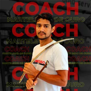 Imagem de capa para o Serviço online COACH PARA MARTELINHO DE OURO