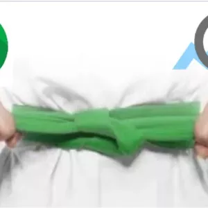 Imagem do curso Green Belt em Lean Seis Sigma