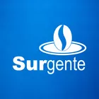 Surgente Consultoria