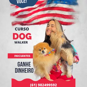 Imagem de capa para o Curso online CURSO DOG WALKER PARA INICIANTES