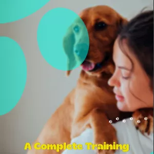 Cover image for Ebook Taming Your Dog At Home: A Complete Training Guide To All The Tricks And Commands