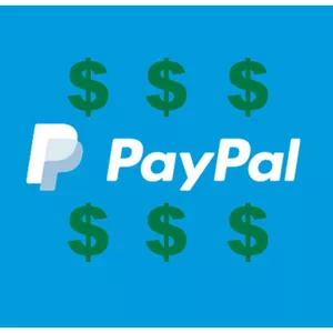 Cover image for Online course Paypal System
