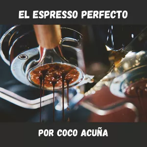 Imagen de portada para Curso online El Espresso Perfecto