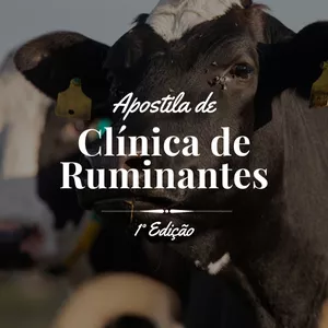 Imagem de capa para o Ebook Apostila de Clínica de Ruminantes