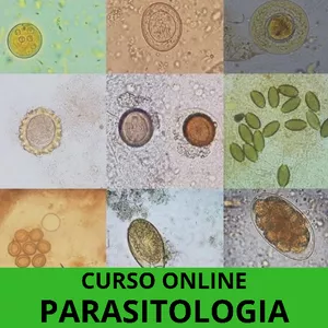 Imagem principal do produto Curso de Parasitologia