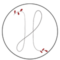 Hookom on Health logo