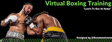 Virtual Boxing Coach