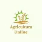 Cursos Online 