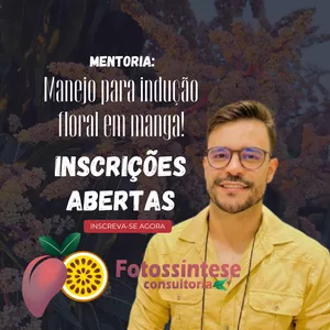Imagem de capa para o Serviço online Mentoria em Grupo: Manejo Para indução Floral na Cultura da Manga