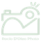 Domina Photoshop